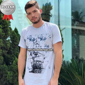 Camisa Gola Careca 100% algodão Camisa Gola Careca 100% algodão