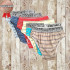 Cueca Algodão Listrada adulto Cueca Algodão Listrada adulto